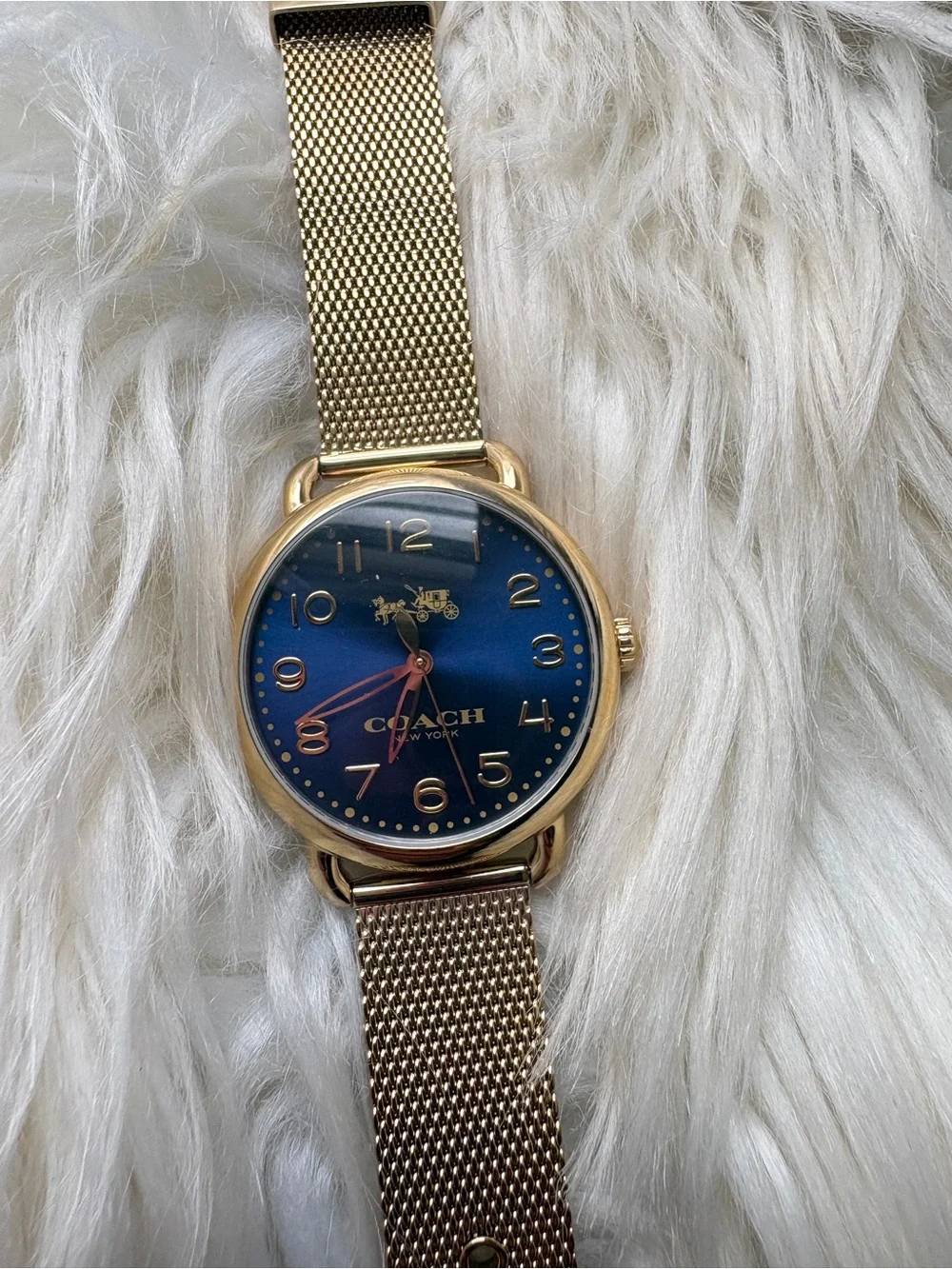 Coach Gold Mesh Strap Watch with Blue Dial